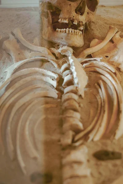 Der menschliche Schädel liegt — Stockfoto