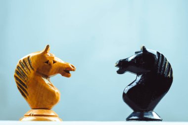iki at satranç taşları