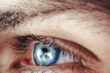 Küçük bir alan derinliği ile makro fotoğrafçılık. kalp gözlerine yansıyan