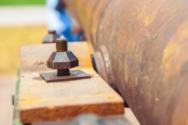 Tay tarzında eski savaş topu parkta