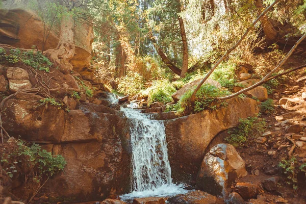 Wasserfall im Wald — Stockfoto