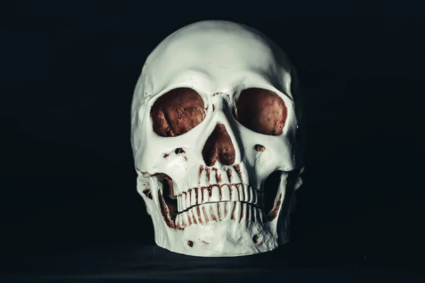 Totenkopf im Dunkeln — Stockfoto