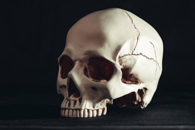 Karanlıktaki kafatası