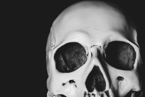 stock image skull in the dark