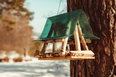 Büyük baştankara Parus Major Besleyici üzerinde