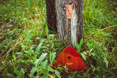 Folk musical instrument balalaika on wooden background clipart