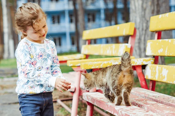 little girl playing with cat