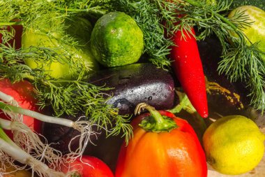 renkli karışımı birçok farklı taze sebze