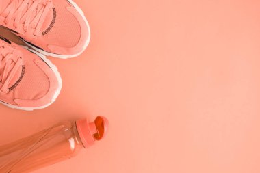 Düz spor egzersiz ekipman turuncu en az yaratıcı kavramı yatıyordu. Kopya için alan.