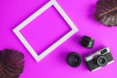 Retro fotoğraf kamera lensler ile düz yatıyordu, fotoğraf çerçevesi ve monstera bırakır pembe arka plan en az yaratıcı tropikal kavramı karşı.