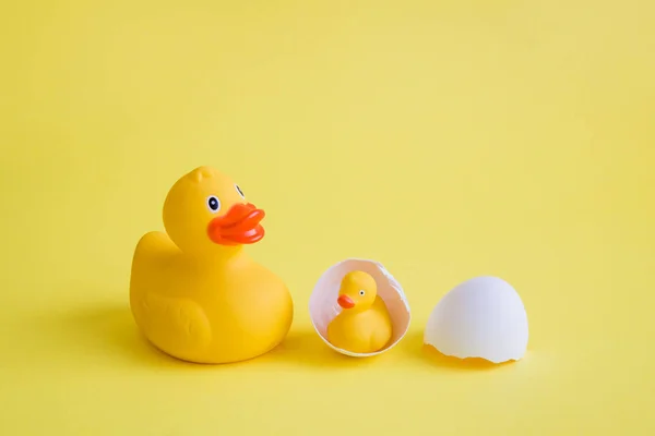Pato con patito en cáscara de huevo abstracto de nacimiento en amarillo . — Foto de Stock