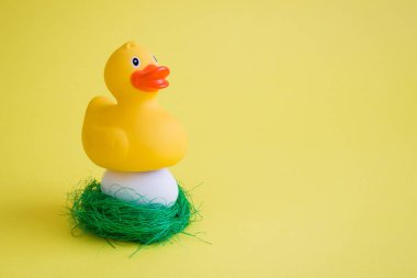 Kauçuk Duck alma bakım onu yumurta içinde yuva soyut.