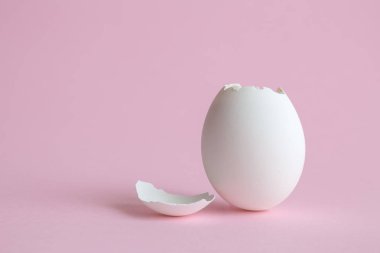 Pastel Beyaz yumurta kabuğu arka plan soyut gül.