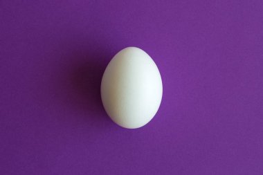 Beyaz yumurta üzerinde mor yaratıcı soyut izole Üstten Görünüm.