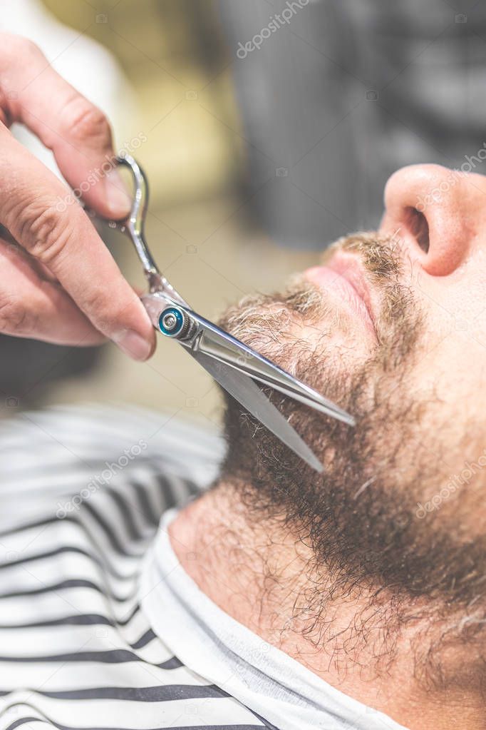 Beard grooming. Side view of young bearded man getting beard haircut by hairdresser while sitting in chair at barbershop