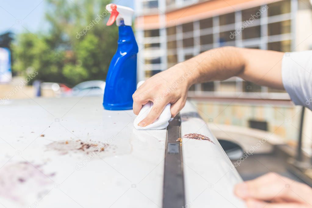 Close up of man cleaning car with cloth and spray bottle, car maintenance concept. Bird shit, drop of bird stain on white car surface, dirty waste of birds dropping splatter, dirty stain bird shit clo