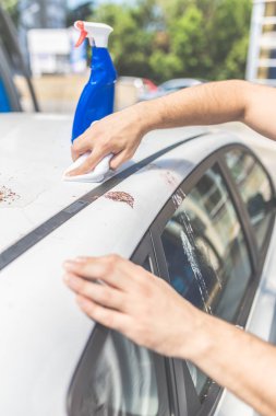 Man hands cleaning and spaying car exterior. Shit bird dropping on car roof. clipart