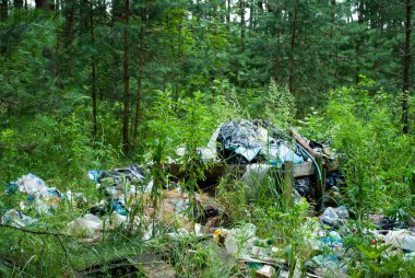 Büyük bir çöp yığını, ormanda atık. Ormanların doğası insanlar tarafından kirletilmiştir. Ekoloji kirliliği felaket tehlikesi