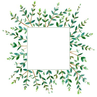 Okaliptüs branches.green çiçek border.postcard.watercolor yardım çerçevesinde resimde çizilmiş. Beyaz arka plan.
