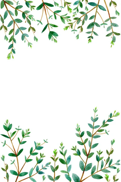Eukaliptusz Branches Green Virág Border Postcard Watercolor Keret Kézzel Rajzolt — Stock Fotó