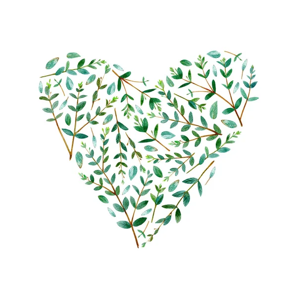 Frame of heart of a eucalyptus branches. Green floral border. Watercolor hand drawn illustration.White background.