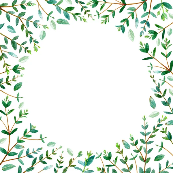 round frame with eucalyptus branches.green floral border.watercolor hand drawn illustration.