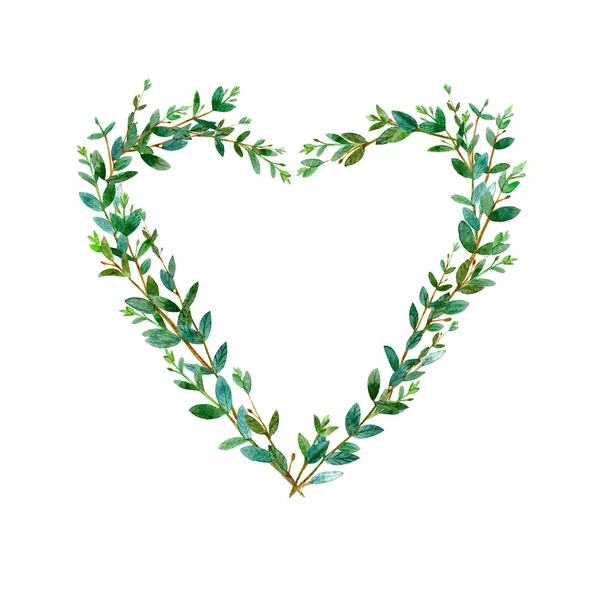 Çerçeve bir okaliptüs şube Heart. Yeşil çiçek sınır. Suluboya elle çizilmiş şekil. Beyaz arka plan.
