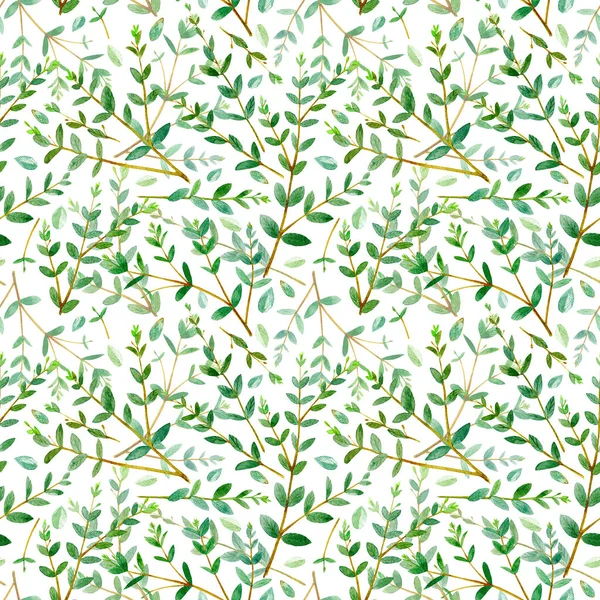 花卉无缝模式 桉树枝条 图像用于织物 纸张等印刷和网络项目 水彩手绘插图 白色背景 — 图库照片