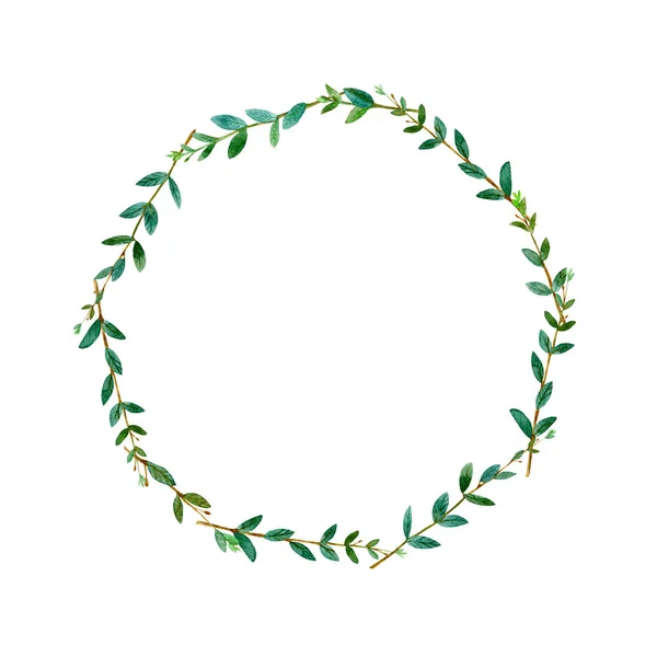 Çiçek çelenk. Okaliptüs dalları ile garland. Suluboya elle çizilmiş şekil. Tebrik kartları, posterler, düğün kartları için kullanılabilir. Beyaz arka plan.