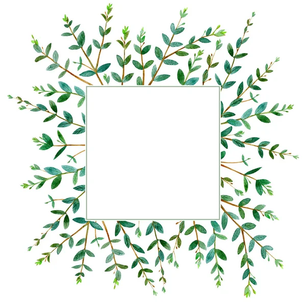 Keret Egy Eukaliptusz Branches Green Virág Border Postcard Watercolor Kézzel — Stock Fotó
