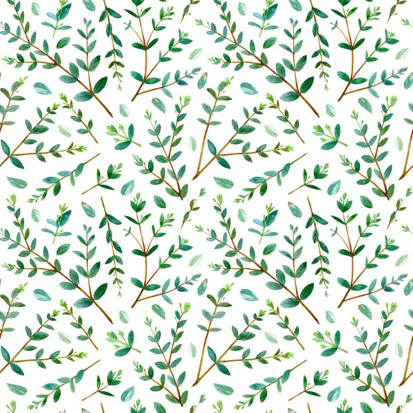 Varrat Nélküli Virágmintás Ágakat Eukaliptusz Kép Szövet Papír Egyéb Nyomtatási — Stock Fotó