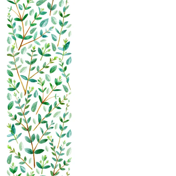 Безшовна Рамка Евкаліптових Гілок Кольорова Рука Намальована Ілюстрація Білий Фон — стокове фото