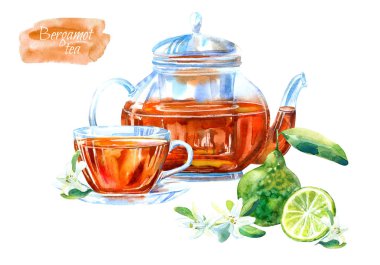 Cam bardak ve Bergamot çayı çaydanlık. Sıcak içecek görüntüsü. Suluboya el çizilmiş illüstrasyon.