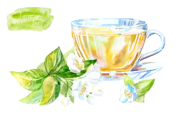 Glas Kopp Jasminte Varm Dryck Bild Akvarell Handritad Illustration — Stockfoto