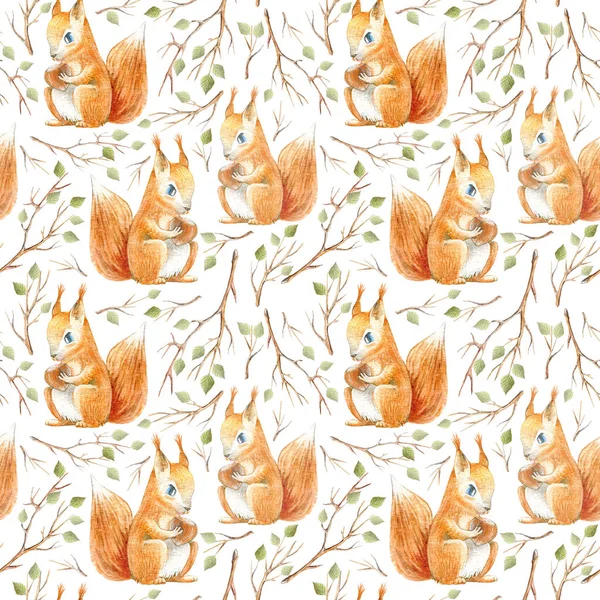 Sincap, fındık ve çiçeğin kusursuz deseni. Suluboya el çizimi. Beyaz arka plan..