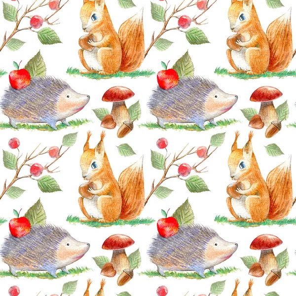 Sincap, kirpi, böğürtlen, mantar ve fındık desenleri. Suluboya el çizimi. Beyaz arka plan..