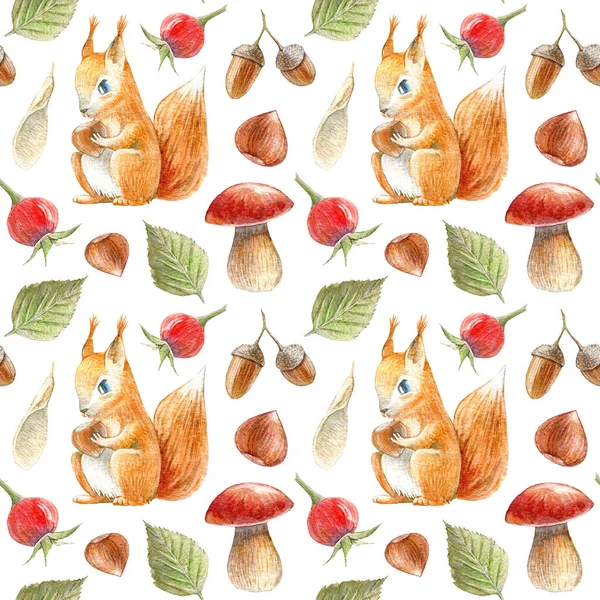 Seamless Pattern Squirrel Zelnuts Mushroom Rose Hip Acorn Watercolor Hand — стоковое фото
