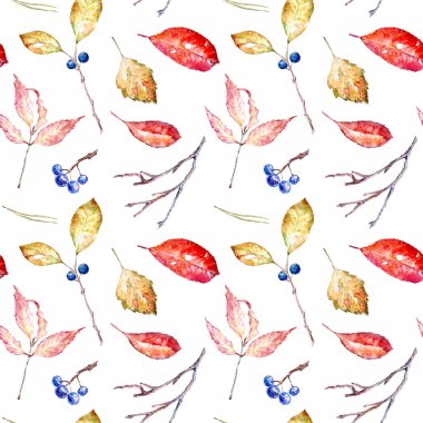 Sonbahar yapraklarının, Aronya 'nın, Buckthorn' un çiçeksiz deseni. Kumaş, kağıt ve diğer baskı ve web projeleri için görüntü. Suluboya el çizimi. Beyaz arkaplan.