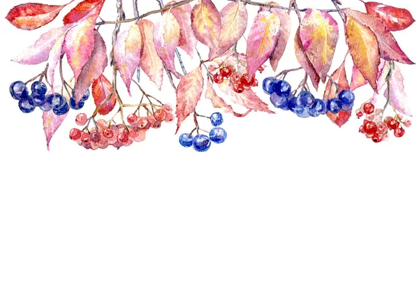 ローワン チョークベリー ユーオニウス 秋の葉の花の境界線 紙や他の印刷やWebプロジェクトのための画像 — ストック写真