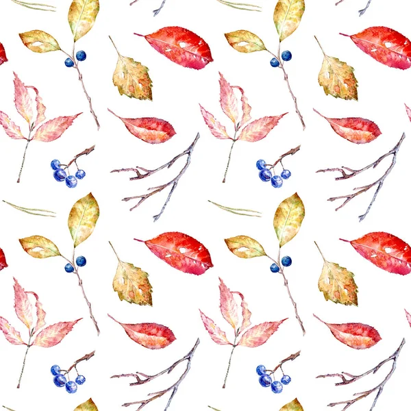 Kwiatowy Bezszwowy Wzór Jesiennych Liści Aronii Kruszyny Obraz Tkanin Papieru — Zdjęcie stockowe