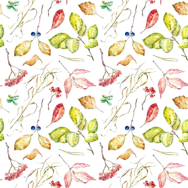 Floral seamless pattern of a autumn leaves,rowan , buckthorn,cowberry,euonymus .Image for fabric, paper and other printing and web projects.Watercolor hand drawn illustration.White background.