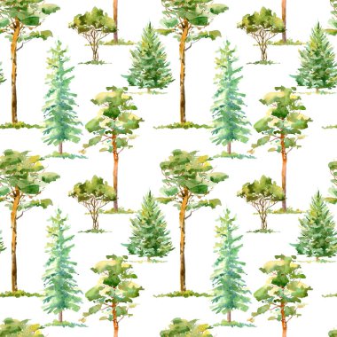 Çam, ladin ve yaprak döken ağaçların çiçeksiz desenleri. Suluboya el çizimleri. Beyaz arka plan..