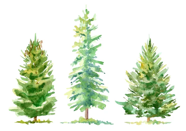 Brzeg Świerkowy Las Iglasty Akwarela Ręcznie Rysowane Ilustracji Białe Tło — Zdjęcie stockowe