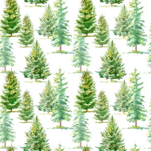 Bir ladin ağacının çiçeksiz deseni. Suluboya el çizimi. Beyaz arka plan..