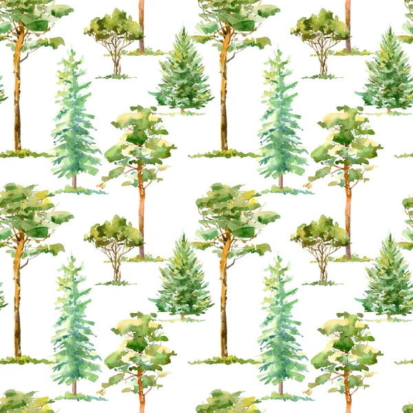 Floral Seamless Pattern Pine Spruce Deciduous Tree Watercolor Hand Drawn Royalty Free Stock Photos