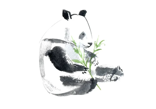 Panda Bamboo Watercolor Dibujado Mano Illustration White Fondo —  Fotos de Stock