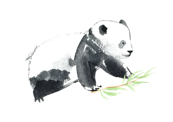 Panda Bamboo Watercolor Dibujado Mano Illustration White Fondo —  Fotos de Stock