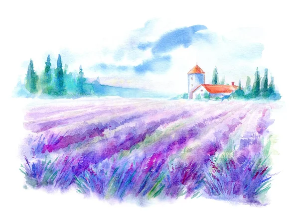 Landschaft Eines Lavendelfeldes Und Bauernhof Blumenwiese Aquarell Handgezeichnete Illustration Stockfoto