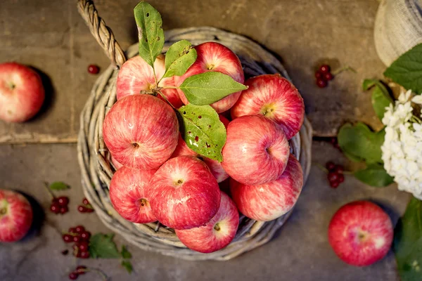 Les Pommes Dans Panier Photos De Stock Libres De Droits