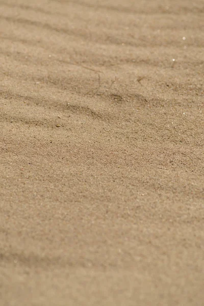 Sand Texture Stone Sea Shell — Stock Photo, Image